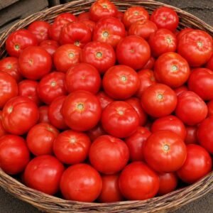 Tamatar
